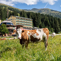 Sommerfrische im Berghotel Hochfügen ©GA-Service (Rupert Mühlbacher)